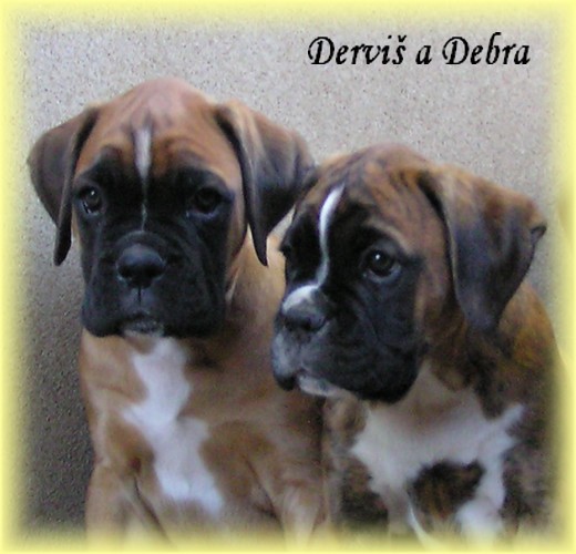 9t - Derviš a Debra.jpg