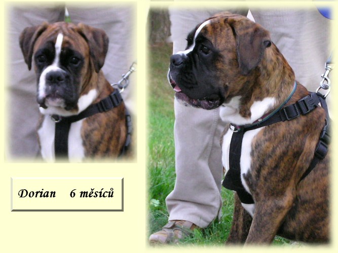 mix 6 mes Dorian 02.jpg